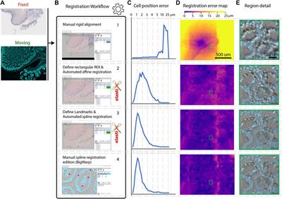 An Open-Source Whole Slide Image Registration Workflow at Cellular Precision Using Fiji, QuPath and Elastix